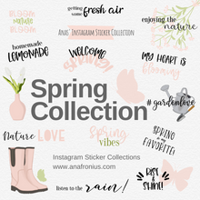 Load image into Gallery viewer, Spring Collection Story Sticker Story Elements